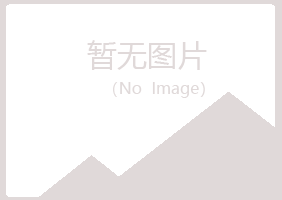 临河夏岚冶炼有限公司